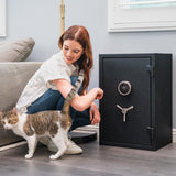 Biometric Fingerprint Fireproof Safe Box - Secret Stashing - Concealment Furniture, Diversion Safes, Home Security Safes