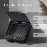 Biometric Gun Safe for Pistols - Secret Stashing - Concealment Furniture, Diversion Safes, Home Security Safes