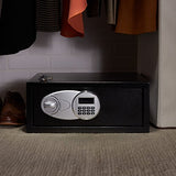 AmazonBasics Security Safe Box - Secret Stashing - Concealment Furniture, Diversion Safes, Home Security Safes