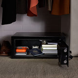 AmazonBasics Security Safe Box - Secret Stashing - Concealment Furniture, Diversion Safes, Home Security Safes