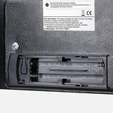 AmazonBasics Security Safe Box - Secret Stashing - Concealment Furniture, Diversion Safes, Home Security Safes