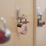 Heart Shaped Fingerprint Padlock - Secret Stashing - Concealment Furniture, Diversion Safes, Home Security Safes