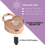 Heart Shaped Fingerprint Padlock - Secret Stashing - Concealment Furniture, Diversion Safes, Home Security Safes