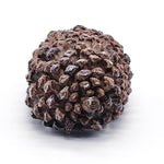 Pine Cone Key Hide Box – Outdoor Secret Key Holder