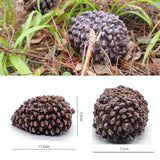 Pine Cone Key Hide Box – Outdoor Secret Key Holder