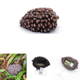 Pine Cone Key Hide Box – Outdoor Secret Key Holder