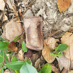 Faux Wood Hide-A-Key Log | Weatherproof Hidden Key Holder
