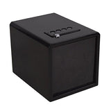 Stealth Handgun Hanger Safe - Quick Access