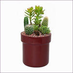 Flower Pot Diversion Safe - Secret Stashing - Concealment Furniture, Diversion Safes, Home Security Safes