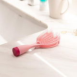 Travel Hair Brush Secret Hidden Diversion Safe