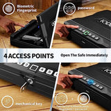 Gun Safe Case - Secret Stashing - Concealment Furniture, Diversion Safes, Home Security Safes