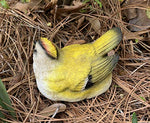 Brass Songbird Key Hider Figurine - Secret Stashing - Concealment Furniture, Diversion Safes, Home Security Safes