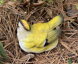 Brass Songbird Key Hider Figurine - Secret Stashing - Concealment Furniture, Diversion Safes, Home Security Safes