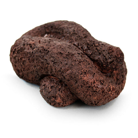 Dog Poop Hide-a-Key Spot - Secret Stashing - Concealment Furniture, Diversion Safes, Home Security Safes