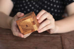 Houdini's Challenge with 2 Dice - Secret Stashing - Concealment Furniture, Diversion Safes, Home Security Safes