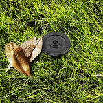 Hide A Key Cash Hider Sprinkler Head - Secret Stashing - Concealment Furniture, Diversion Safes, Home Security Safes
