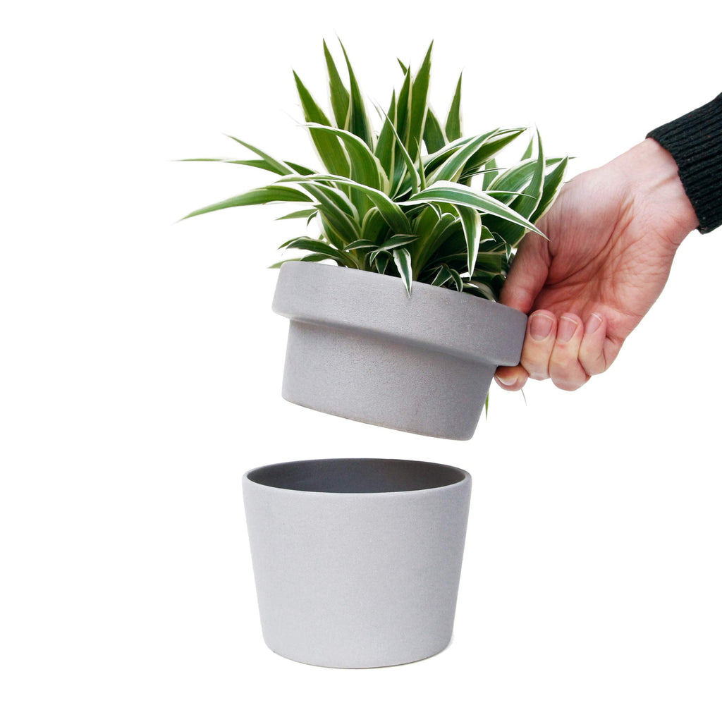 plant pot security Secret Stash Box Succulent Plants – Secret Stashing