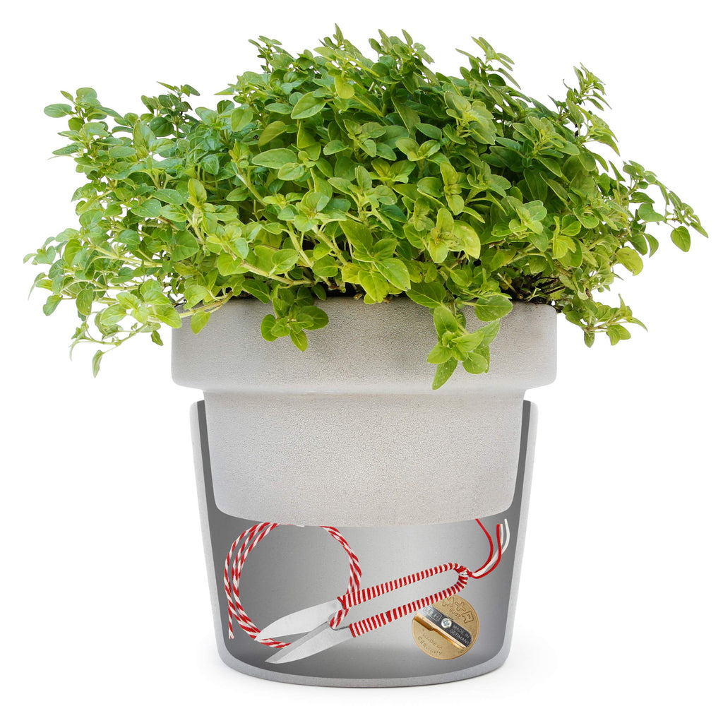 plant pot security Secret Stash Box Succulent Plants – Secret Stashing