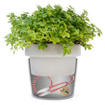 Secret Stash Box Succulent Plants - Secret Stashing - Concealment Furniture, Diversion Safes, Home Security Safes