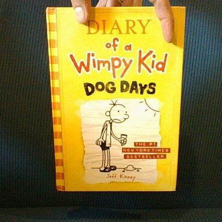 Diary of a Wimpy Kid Dog Days -Gift Present Box, Handmade Diversion Safe Book - Diversion Safes - Hide your stash and money in everyday items that contain secret compartments, if they don't see it, they can't get it -Secret Stashing